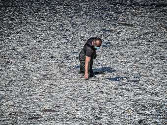 Το θυρόφραγμα της Κάρλας δεν μπορούσε να κλείσει - Τι λέει το πόρισμα της Εισαγγελίας Βόλου