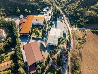 Σουρωτή Α.Ε.: Στα 17,15 εκατ. ευρώ ο κύκλος εργασιών το 2024 - Αυξημένα κατά 87% τα EBITDA