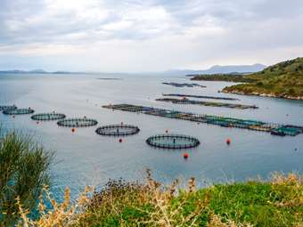 Κώστας Καδής: Η γαλάζια οικονομία κινητήριος δύναμη για την αστική και περιφερειακή ανάπτυξη