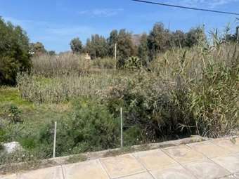 Πλειστηριασμοί: Έρχεται νέο "βαρύ" σφυρί για την οικογένεια Αγούδημου