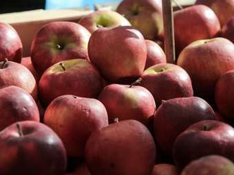 Πρόστιμα 56.000 ευρώ σε εταιρείες πιστοποίησης βιολογικών προϊόντων