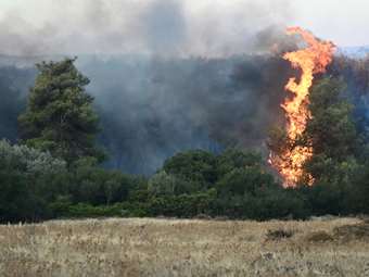 Yπό μερικό έλεγχο η πυρκαγιά στον Αυλώνα Μεσσηνίας