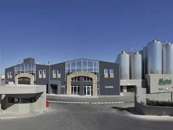 Ολυμπιακή Ζυθοποιία: Πώς η Νήσος μπορεί να γίνει το επόμενο case study μετά τις Mythos και Fix