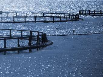 Υπ. Τουρισμού: Νέο θεσμικό πλαίσιο για επισκέψιμες υδατοκαλλιέργειες στην Ελλάδα