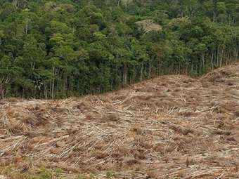 Βενεζουέλα: Επτά νεκροί από τη συντριβή στρατιωτικού αεροσκάφος στην περιοχή του Αμαζονίου