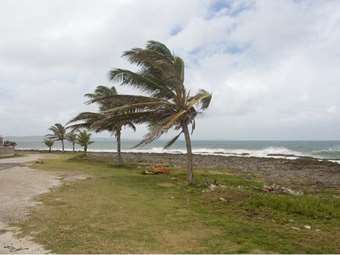Γαλλία: Πλημμύρες σημειώθηκαν στις Κάννες, πιθανή νέα καταιγίδα
