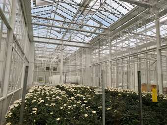 BriteSolar: Η επένδυση 9 εκατ. ευρώ στην Πάτρα και τα σχέδια για νέο γύρο χρηματοδότησης 15 εκατ.