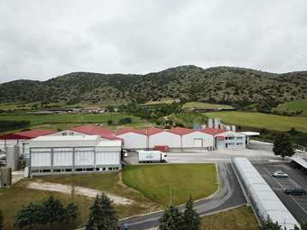 ΟΠΤΙΜΑ: Ενίσχυση μεριδίου αγοράς το 2024 και το α' τρίμηνο 2025