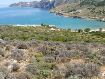 Τι περιλαμβάνει η τουριστική επένδυση ύψους άνω 200 εκατ. για το "Cape Tholos" στην Κρήτη