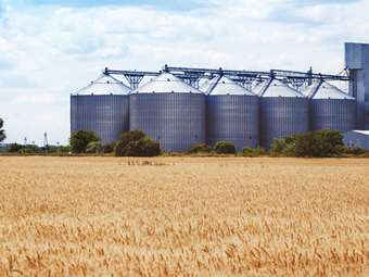 Η Κίνα σχεδιάζει να αγοράσει αμερικανικό σιτάρι μετά από 1 χρόνο στον απόηχο της εμπορικής "εκεχειρίας"