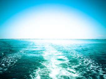 Τουρκία: Η θαλάσσια βιοποικιλότητα ως πολιτικό εργαλείο