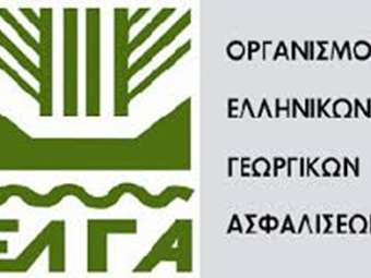 ΕΛΓΑ: Την Πέμπτη η πίστωση 30 εκατ. ευρώ για εκκαθάριση πορισμάτων που αφορούν σε ζημιές φυτικής παραγωγής και ζωικού κεφαλαίου του 2024