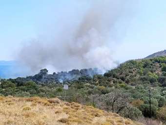 Λέσβος: Συνελήφθη 57χρονος που ομολόγησε τέσσερις εμπρησμούς