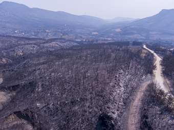 Ενεργή από σήμερα η ψηφιακή πλατφόρμα EvrosMeta - Παρουσίαση στη Δαδιά