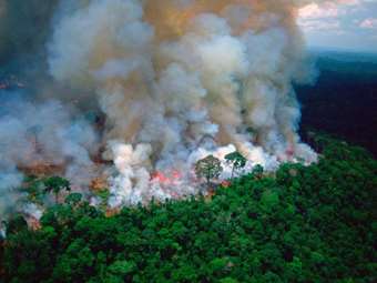 Βραζιλία: Το δάσος του Αμαζονίου πλησιάζει σε "σημείο από όπου δεν υπάρχει επιστροφή"