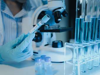 Ερευνητές κατάφεραν να αναζωογονήσουν το ανοσοποιητικό σύστημα σε ηλικιωμένα ποντίκια