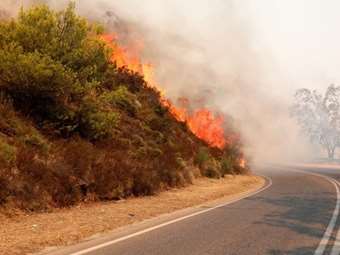 Ηλεία: Καλύτερη η εικόνα της φωτιάς στο Γεράκι, με τη βοήθεια της βροχής