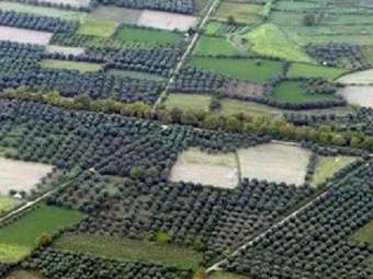 Έκρηξη δηλώσεων για καθαρισμούς οικοπέδων στην πλατφόρμα της Πολιτικής Προστασίας – Πάνω από 318.000 αιτήσεις ως τις 5 Ιουνίου