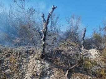 Οριοθετείται η φωτιά στο Καστράκι κάτω Γορτυνίας - Υπό μερικό έλεγχο η πυρκαγιά στο Αρσάκειο Ροδόπης