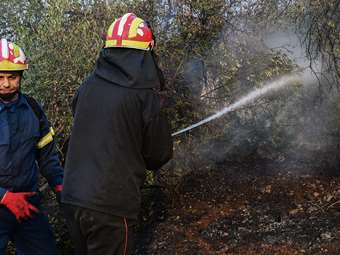 Πυρκαγιά σε αγροτοδασική έκταση στο Αβραμιό Μεσσήνης