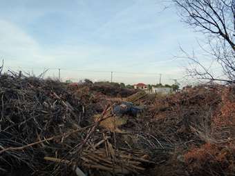 Τραγωδία στο Μάτι: "Υπάρχουν αταυτοποίητα τμήματα σορών" στον ομαδικό τάφο στο κοιμητήριο της Νέας Μάκρης