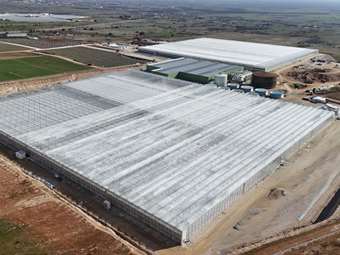 Wonderplant: Σε λειτουργία η mega θερμοκηπιακή επένδυση στη Δράμα
