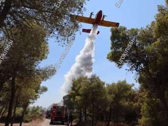 Φωτιά στην περιοχή Ποταμός Αλεξανδρούπολης