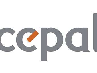 Cepal: Νέος μη εκτελεστικός πρόεδρος της εταιρείας ο Νικόλας Χρυσανθόπουλος