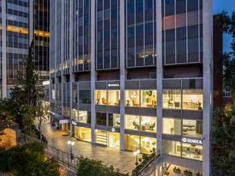 Η Seneca Medical Group ανατρέπει τα δεδομένα στη Μεταμόσχευση Μαλλιών: Καινοτομία και Ιατρικές Υπηρεσίες Υψηλών Προδιαγραφών