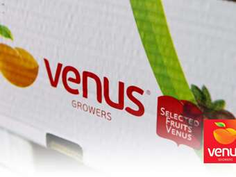 Venus Growers: Ο συνεταιρισμός με μοντέλο ιδιωτικής επιχείρησης που αύξησε τα κέρδη του 2.778% σε μία χρονιά