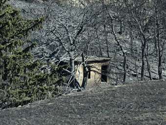 Στα 8,85 εκατ. ευρώ οι αποζημιώσεις των ασφαλιστικών για τις δασικές πυρκαγιές το καλοκαίρι του 2025