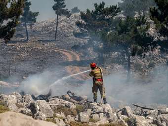 ΥΠΕΝ: Η Εθνική Τράπεζα ανάδοχος αποκατάστασης των καμένων εκτάσεων στο νησί της Χίου με €1,31 εκατ.