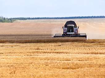Οι παγκόσμιοι κίνδυνοι εφοδιασμού τροφίμων αυξάνονται καθώς οι βασικοί έμποροι εγκαταλείπουν τη Ρωσία