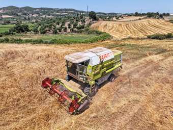 Νέα μείωση 4,2% των τιμών εκροών σε Γεωργία - Κτηνοτροφία τον Σεπτέμβριο