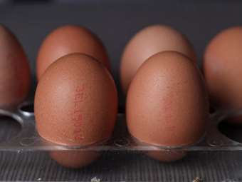 PFAS: Τα "αιώνια χημικά" που δεν εξαφανίζονται ποτέ και εντοπίστηκαν και σε ελληνικά αυγά - Πού βρίσκονται και τι προκαλούν στον άνθρωπο