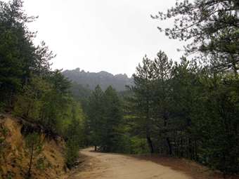 Θεσσαλονίκη: Νέα απαγόρευση της κυκλοφορίας σε δασικές περιοχές της Χαλκιδικής