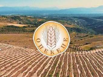 Oρίστηκε το νέο Δ.Σ του ΟΠΕΚΕΠΕ