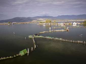 Ιχθυοκαλλιέργειες: Η καλύτερη χρονιά της τελευταίας 20ετίας – Στο +300% οι εξαγωγές προς Ισραήλ