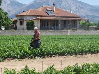 Πληρωμή 8,7 εκατ. ευρώ για εκτιμήσεις κι επανεκτιμήσεις ζημιών σε φυτική παραγωγή και ζωικό κεφάλαιο του 2024
