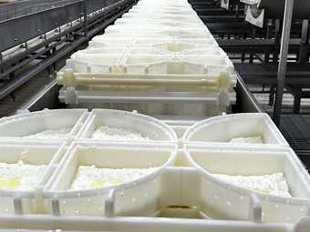 Δασμοί Τραμπ: Ανήσυχοι για τις εξαγωγές φέτας στις ΗΠΑ οι Έλληνες παραγωγοί