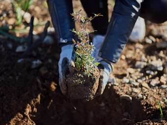 Παπαστράτος: Δέσμευση με πράξεις για το περιβάλλον
