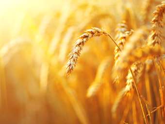 Το αποτύπωμα της Αθηναϊκής Ζυθοποιίας στην κοινωνία και την οικονομία γίνεται ακόμη πιο ισχυρό