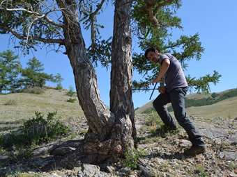Το καλοκαίρι του 2023, το θερμότερο στο βόρειο ημισφαίριο τα τελευταία 2.000 χρόνια