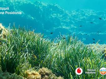 Το Vodafone Posidonia στη διεθνή Έκθεση Mobile World Congress (MWC) 2025