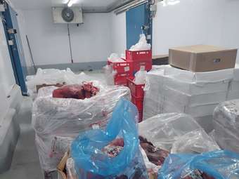 Κατασχέθηκαν 27 τόνοι αλλοιωμένων κρεάτων στην περιφέρεια Αττικής