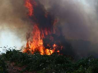 Χαλκιδική: Απαγόρευση κυκλοφορίας σε περιοχές της Κασσάνδρας λόγω υψηλού κινδύνου δασικής πυρκαγιάς