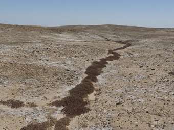 Κλιματική αλλαγή: Ξηρασία - ρεκόρ τον Ιούλιο στην Ευρώπη και στην περιοχή της Μεσογείου