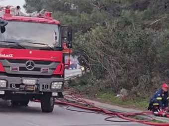 Υπό μερικό έλεγχο η πυρκαγιά σε δασική έκταση στη Σάμο