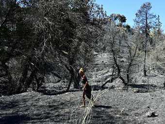 Πώς ξεκίνησε η φωτιά που κατέκαψε την Αττική: Οι μαρτυρίες και το βραχυκύκλωμα σε καλώδια ηλεκτροδότησης