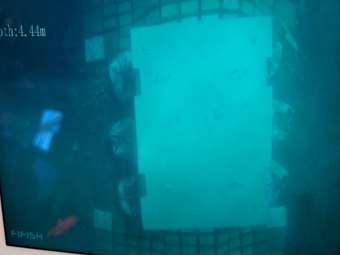 Έναρξη εργασιών για την αποκατάσταση της ζημιάς στον υποθαλάσσιο αγωγό της Αίγινας